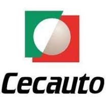 CECAUTO 9993092400 - FILTRO