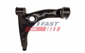  FT15765 - BRAZO OSCILANTE VW